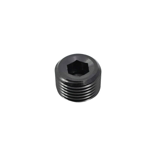 NPT Plugs